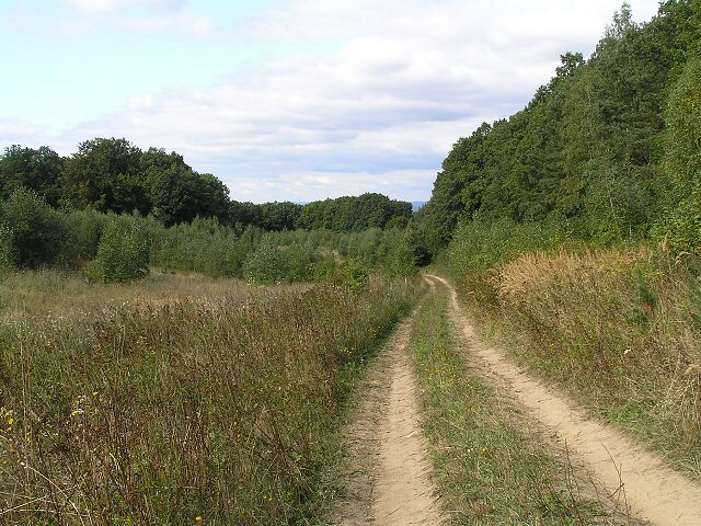 Kouzlo kokořínska17.jpg