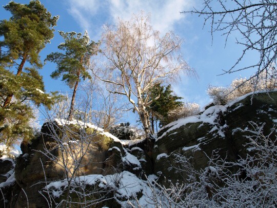 Leden 2010 na kokořínsku5.JPG